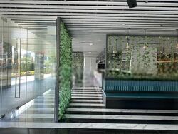 Beach Road (D7), Retail #468565481